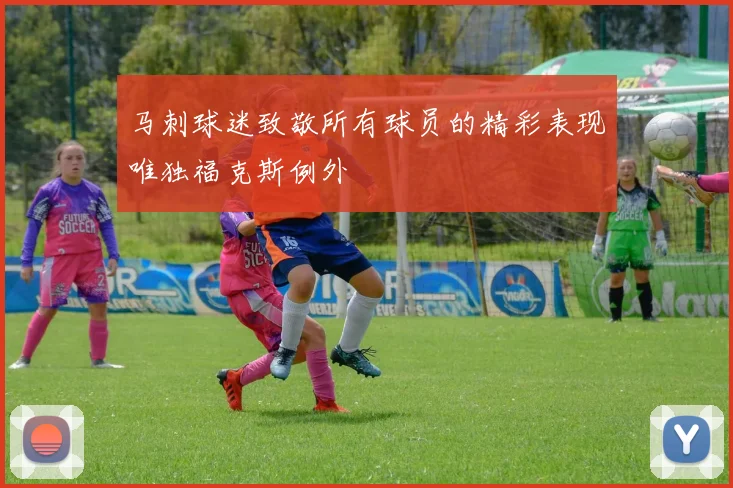 马刺球迷致敬所有球员的精彩表现唯独福克斯例外