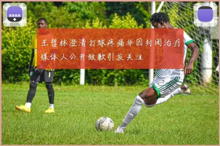 王哲林澄清打球疼痛非因封闭治疗媒体人公开致歉引发关注